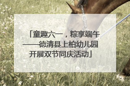 童趣六一，粽享端午——德清县上柏幼儿园开展双节同庆活动